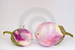 White-lilac eggplant fruits