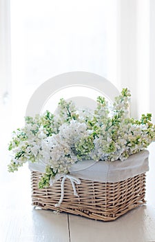 White lilac flowers in a wicker basket