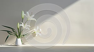 White Lilies In A Minimalist Setting: A Juxtaposition Of Light And Shadow