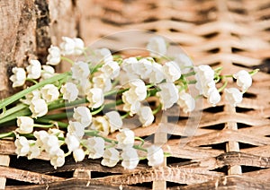 White lilies of the valley background
