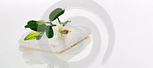 a white lily bud with green leaves on a white towel. Spa concept