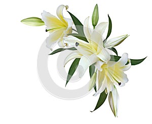 White Lily flower bouquet for wedding invitation or greeting card