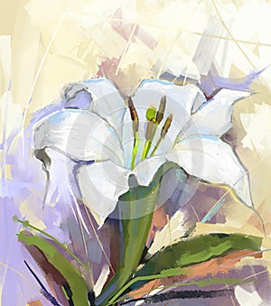 White lily flower.Flower oil painting