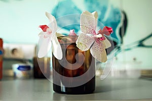 White lily flower in a small glass on reflective surface isolated on black background