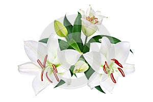 White lily flowers and buds with green leaves on white background isolated close up, lilies bunch, lilly bouquet, lillies pattern