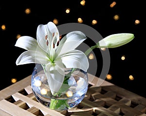 White lily in a glass