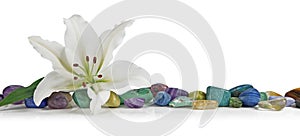 White Lily and healing Crystal