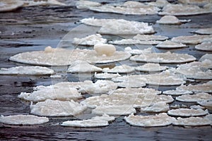 White lily-pad ice along the lake shore in early winter