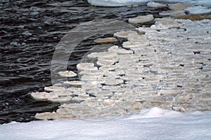 White lily-pad ice along the lake shore in early winter