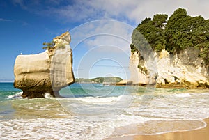 White limestone rock formations and fine sandy beach at Cathedral Cove on the Coromandel Peninsula in New Zealand.