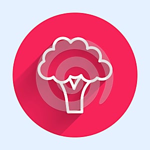 White line Broccoli icon isolated with long shadow background. Red circle button. Vector