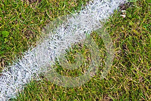 White line on the grass of sporting stadium