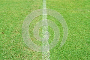 White line on green grass of football yard stadium