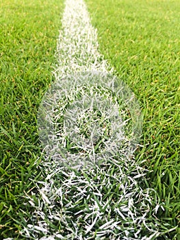 White line on green grass at soccer pitch or football field