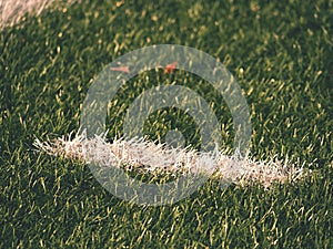 White line marks painted on artificial green turf background. Playfield border.