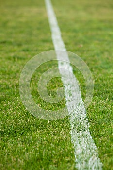 White line on a soccer field