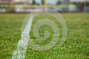 White line on a soccer field