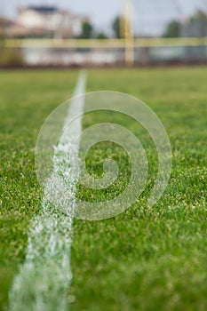 White line on a soccer field