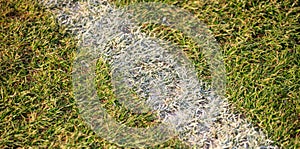 White line on a soccer field. Detail of white line in a football field. Above view.