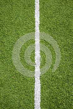 White line on soccer field grass