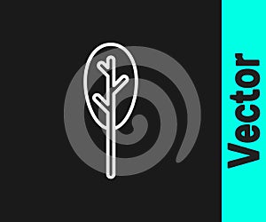 White line Spinach icon isolated on black background. Vector