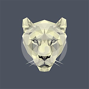 White lioness lowpoly