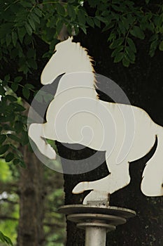 White Lippizan horse breed sign