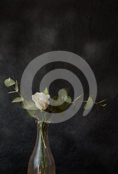 White lisianthus flower on abstract bouquet