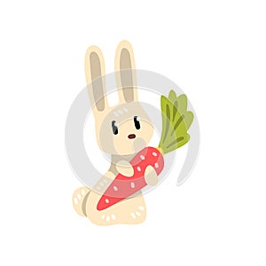 White little bunny holding big carrot, cute rabbit cartoon character vector Illustration on a white background