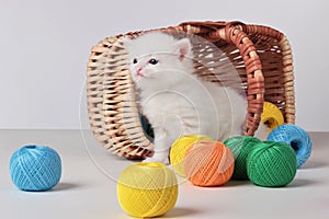 White little kitten near a basket with colored balls on the Gray background