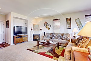 White living room with fireplace and colorful rug