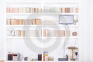 White living room with modern wooden bookshelf