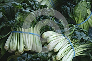 White long petiole bok choi