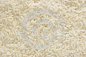 White long rice background, uncooked raw cereals, large detailed texture pattern macro closeup, horizontal textured copy space