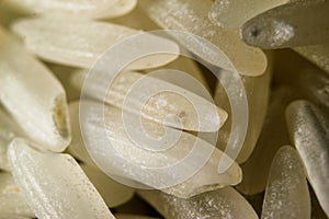 White long rice grains