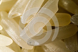 White long rice grains