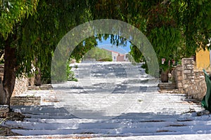 White long stairs with botanical arch made of green tree