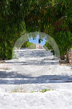 White long stairs with botanical arch made of green tree