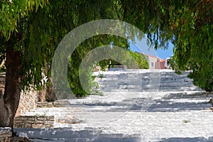 White long stairs with botanical arch made of green tree. Concept of goal