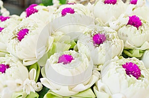 White lotus and Glob-Amaranth Comoran flower