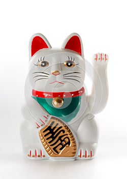 White lucky cat, Maneki-neko photo