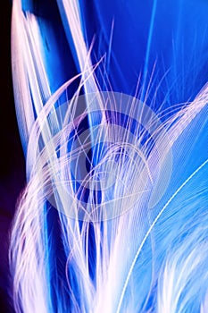 White macro feathers on dark deep background underwater