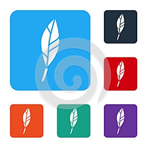 White Magic feather icon isolated on white background. Set icons in color square buttons. Vector