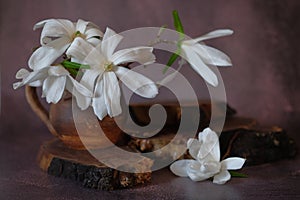 White magnolia in brown earthenware mug that stands on a wooden stand