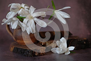 White magnolia in brown earthenware mug that stands on a wooden stand