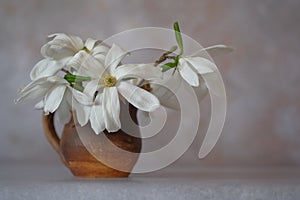 White magnolia flowers in a brown clay mug