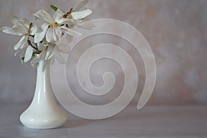 White magnolia flowers in a tall white vase