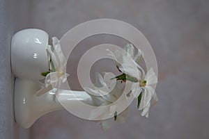 White magnolia flowers in white ceramic vases
