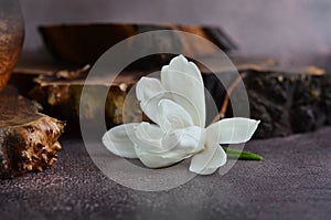 White magnolias lie on a wooden stand