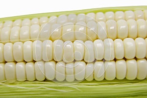 White Maize Corn